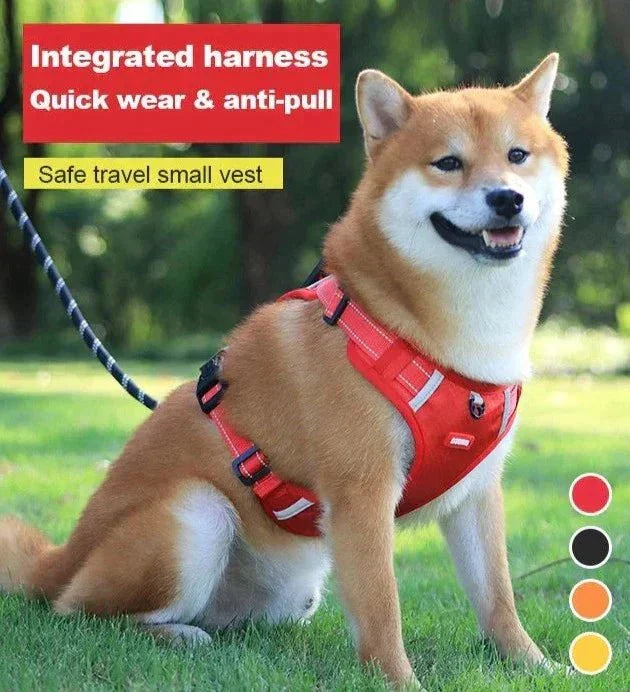 DogGrip Walk safely with your dog | Kalsten