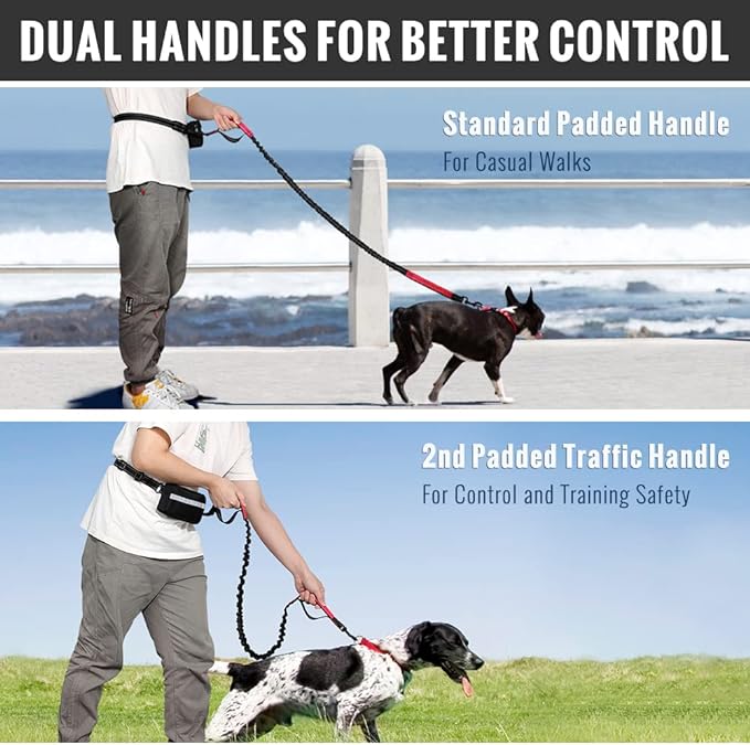 Kalsten | PawsFree Pro – Enjoy stress-free walks with your dog