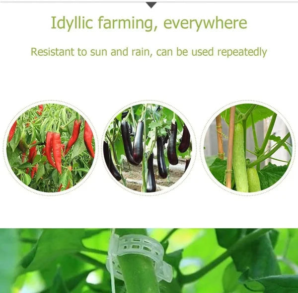 GripKing Clips — Keep your plants strong and discover effortless, healthy growth! | Kalsten
