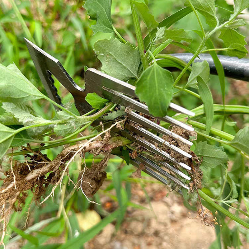 TerraClear — Effortlessly frees your garden from weeds and gives you limitless planting freedom | Kalsten
