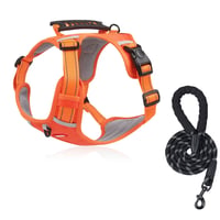 HappyHund Safety Harness Reflective | Kalsten