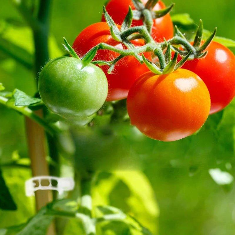 Parts - TigeStabilizers Ensure that your garden is stable and firm | Kalsten