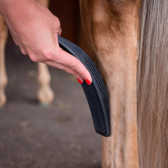 Kalsten | 6-In-1 Horse Care Brush - EquiGlow