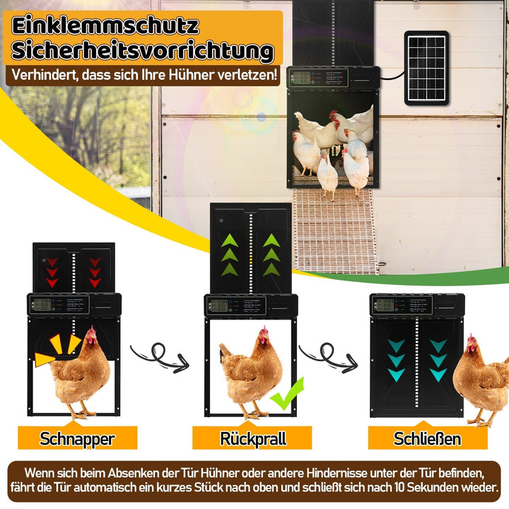 Electric Chicken Coop Door Solar with LED Display and Remote Control | Kalsten