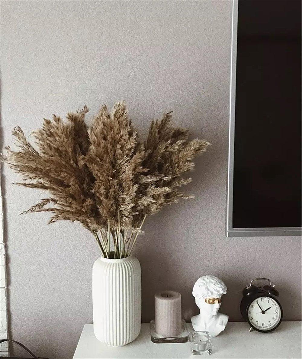 Kalsten | 60 cm natural, real, brown-beige dried pampas grass bouquet │ fluffy feather for modern boho home decoration