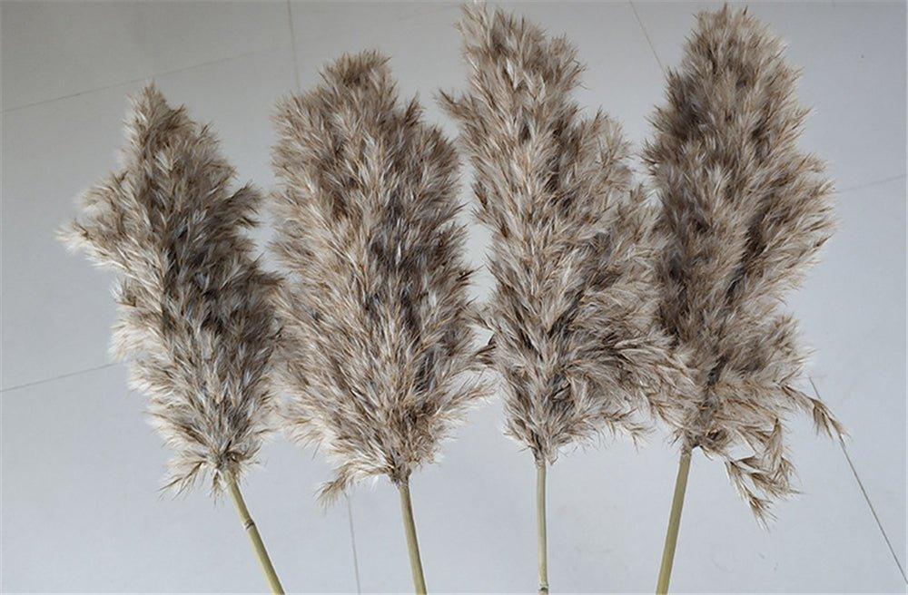 Kalsten | 60 cm natural, real, brown-beige dried pampas grass bouquet │ fluffy feather for modern boho home decoration