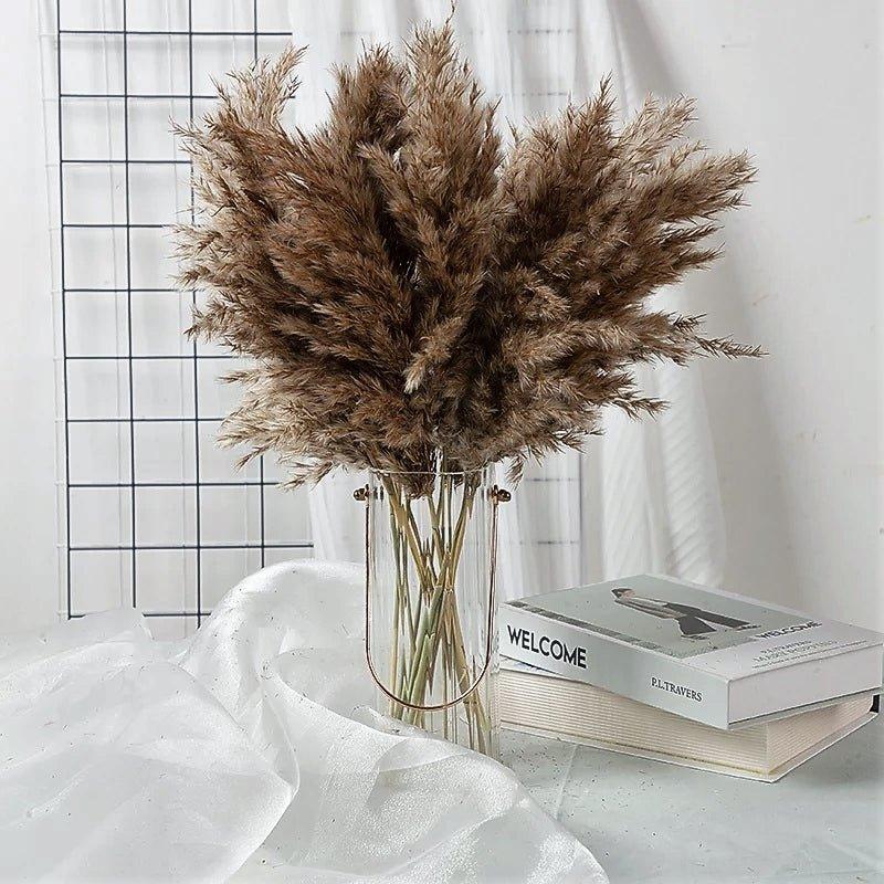 Kalsten | 60 cm natural, real, brown-beige dried pampas grass bouquet │ fluffy feather for modern boho home decoration