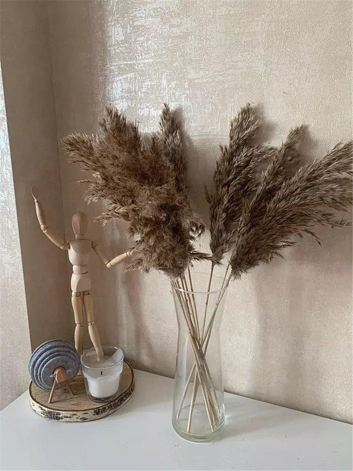 Kalsten | 60 cm natural, real, brown-beige dried pampas grass bouquet │ fluffy feather for modern boho home decoration