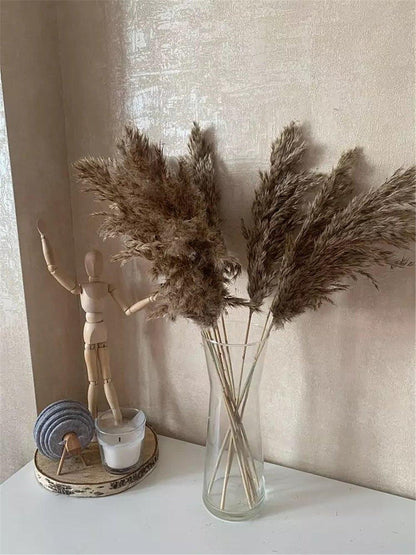 Skanto | 60 cm Natural, Genuine, Brown-Beige Dried Pampas Grass Bouquet │ Fluffy Feathers for Modern Boho Home Decor
