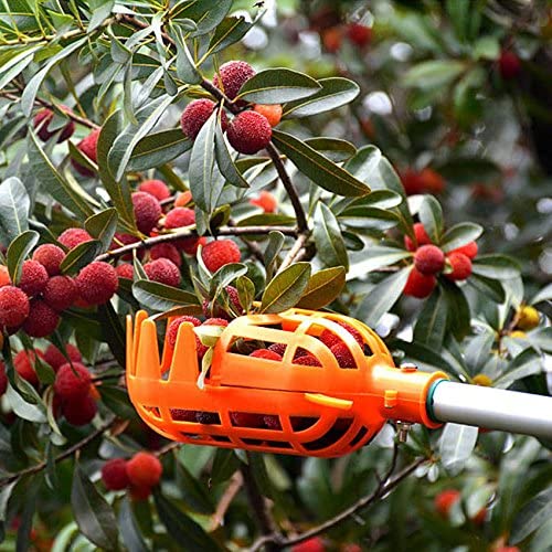 Fruit Picker | Kalsten