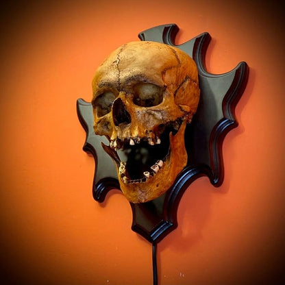 Skull lamp of eternal darkness