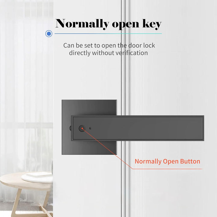 Kalsten | Smart Fingerprint Door Lever Lock with Key Access & 30 User Capacity – Nivora