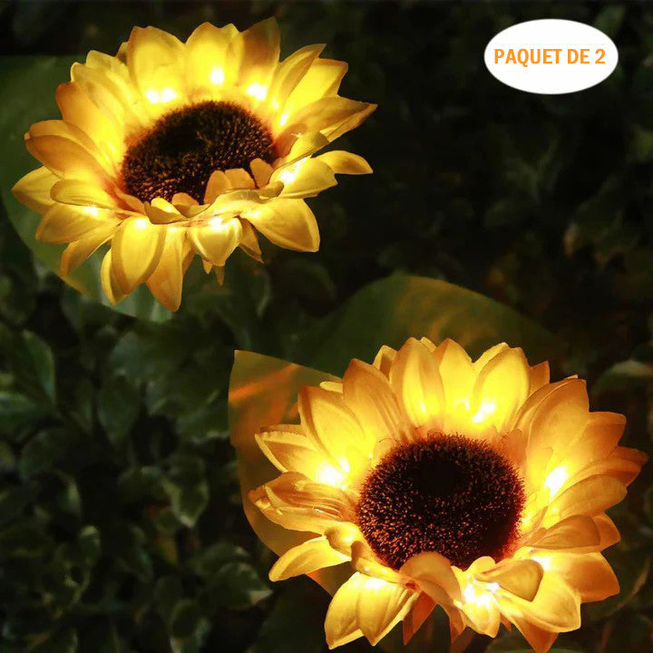 Sunflower Light, 2pcs | Kalsten