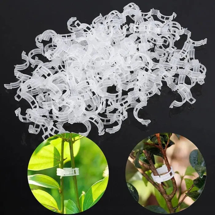 VitaGrip Clips — Strong hold for majestic plants that grow and thrive proudly | Kalsten