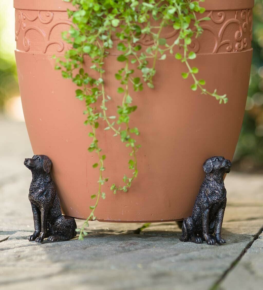 Kalsten | Potty Feet Plant Pot Feet