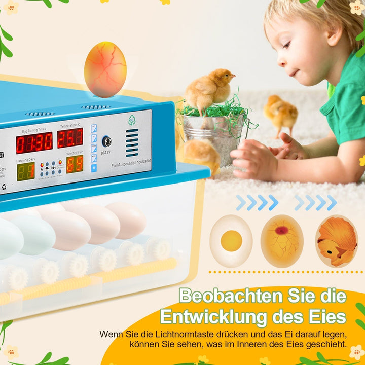 Brutautomat Fully Automatic Incubator for Chickens 64 Eggs | Kalsten
