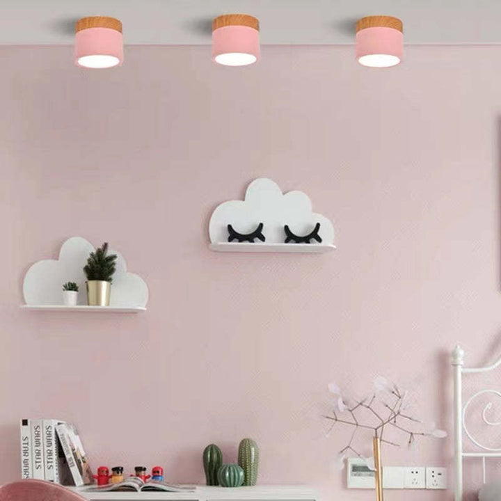Morandi Style Modern LED Ceiling Lamp - LumiModo | Kalsten