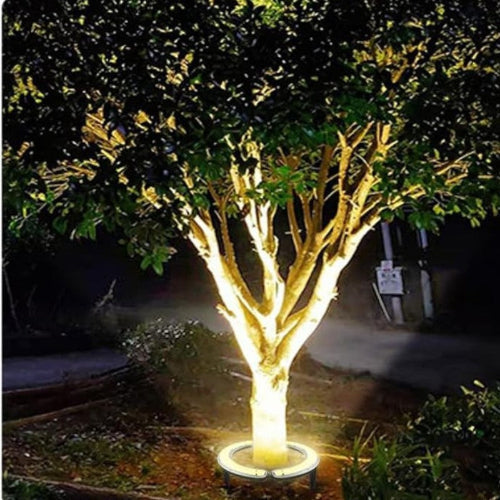 Outdoor LED Ring Accent Lighting Kalsten