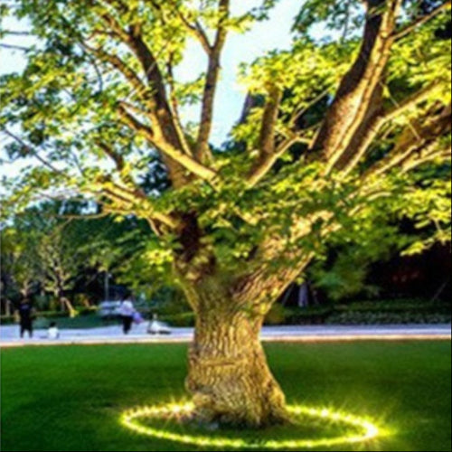 Outdoor LED Ring Accent Lighting Kalsten