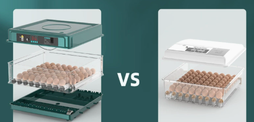 Kalsten | Digital Egg Incubator with Adjustable Tray
