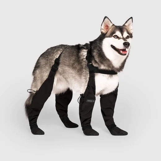 Skanto | Paw Boots