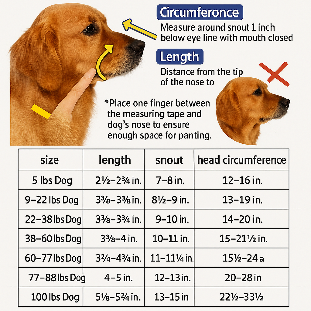 GuardPaw — Finally enjoy every walk worry-free and secure | Kalsten