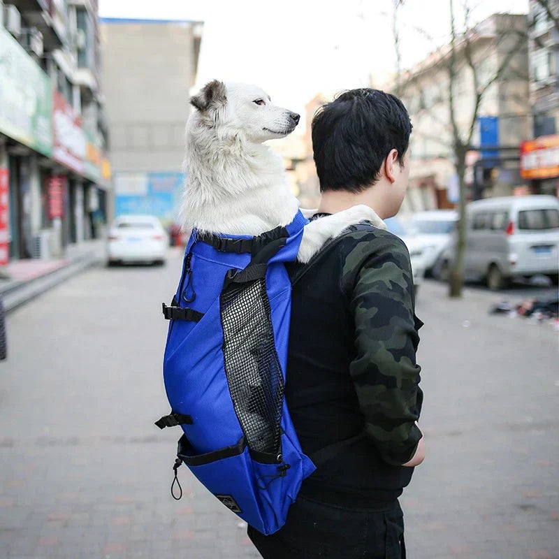 Kalsten | Dog Backpack – Comfortable Carrying Bag for Medium Dogs with Safety Strap and Storage Pockets
