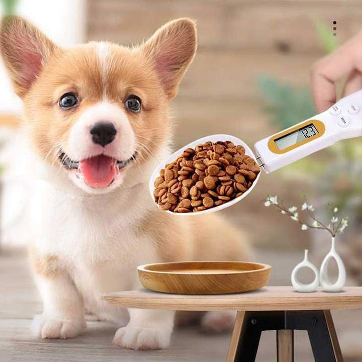 Electronic Measuring Spoon | Kalsten