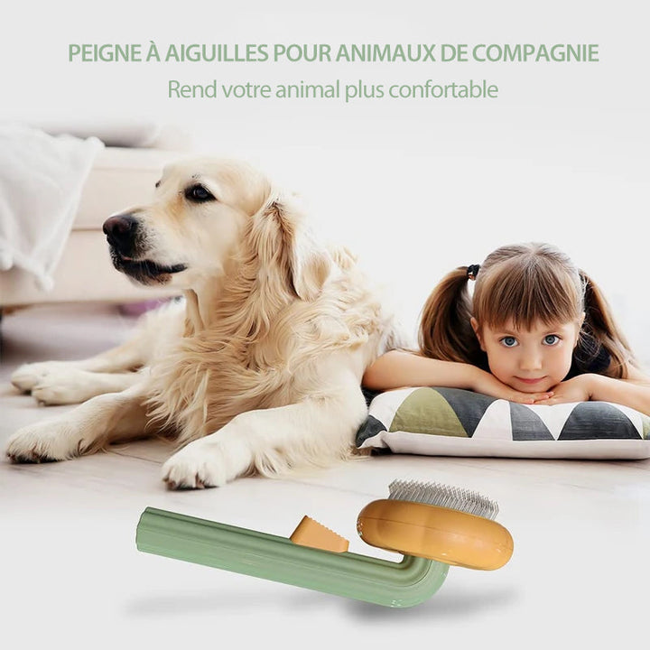 Pumpkin Comb Brush for Pets | Kalsten