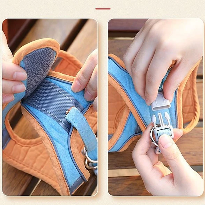 Harness and Leash Set for Cat | Kalsten