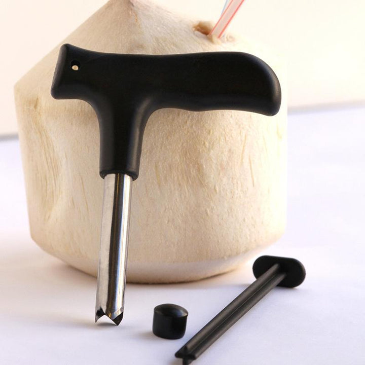Coconut opening tool in Stainless Steel | Kalsten