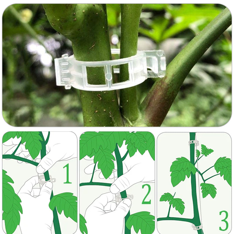 Plastic ring for holding plants | Kalsten