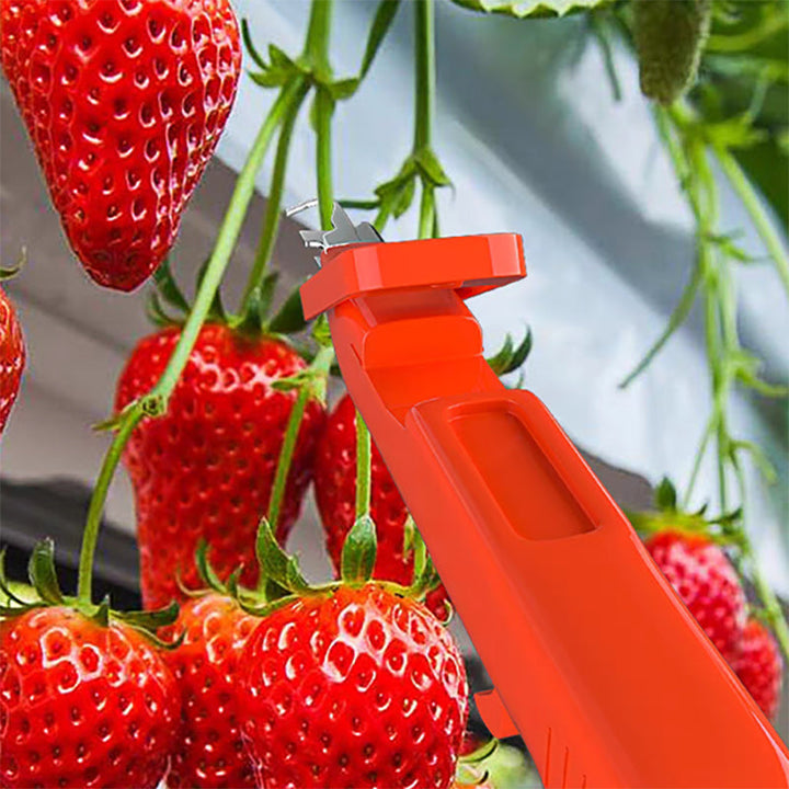 Efficient Pepper Picking Tools | Kalsten