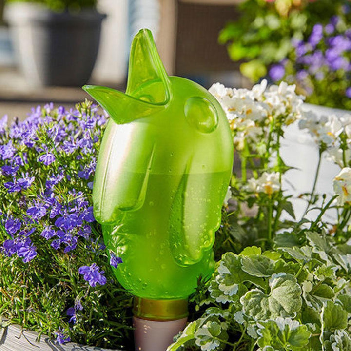 Automatic small bird watering device | Kalsten