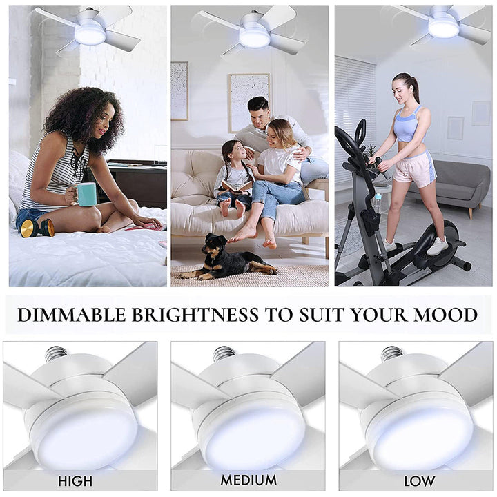 Ceiling Fans with Lights | Kalsten