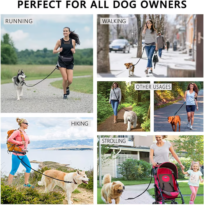 FlowLeash — Experience gentle control and relaxed walks without jerks! | Kalsten