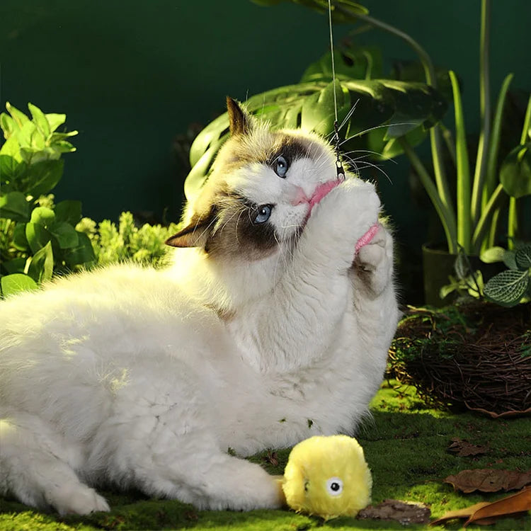 Kalsten | – smarter interactive plush ball for cats | buy 1, get 1 free 🎁