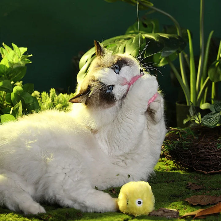 Kalsten | – smarter interactive plush ball for cats | buy 1, get 1 free 🎁