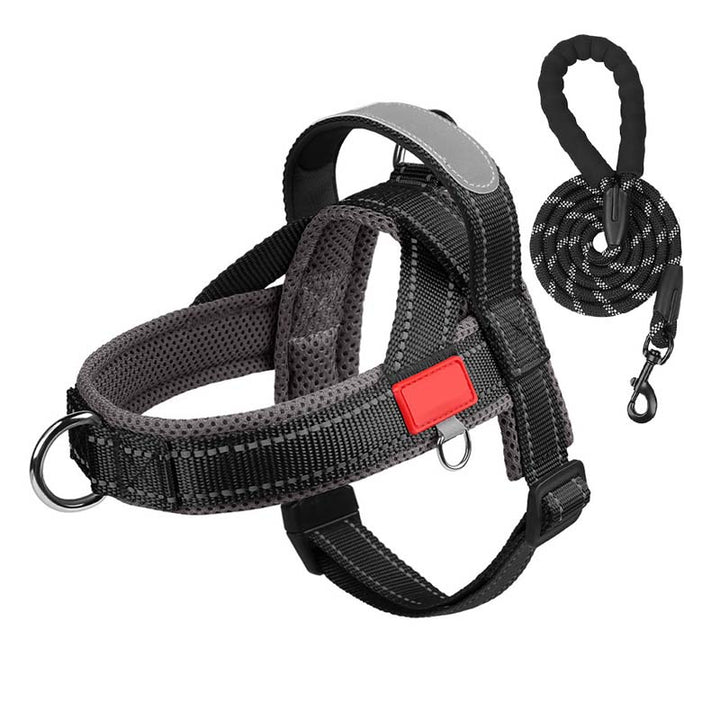 PawEase Comfort Harness — Relaxed Dressing and Unlimited Freedom for Your Dog | Kalsten