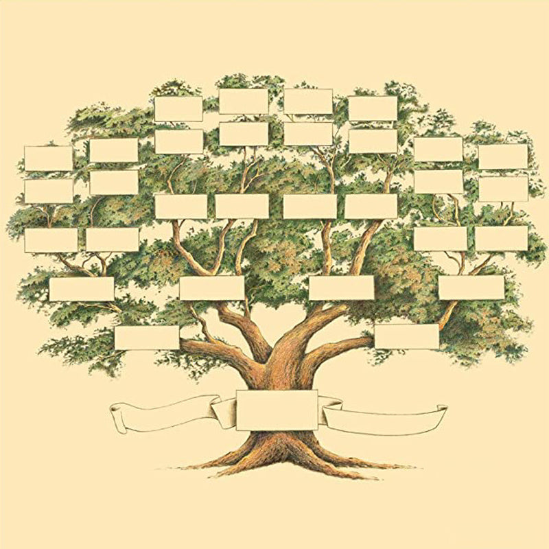 Family Tree Genealogy Diagram | Kalsten