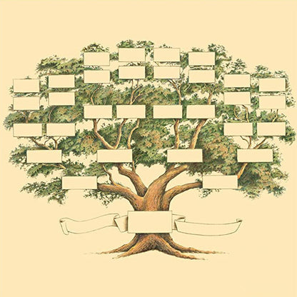 Family Tree Genealogy Diagram | Bowlift