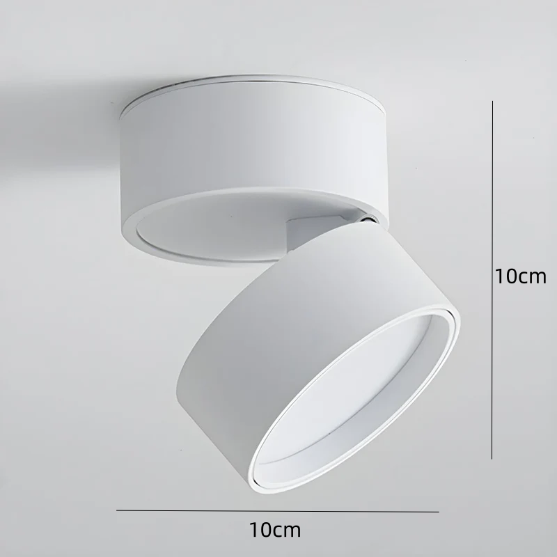 LED Ceiling Lamp with Adjustable Spotlight Kalsten