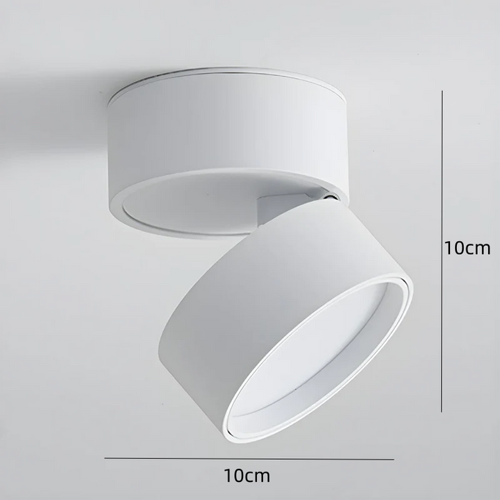 LED Ceiling Lamp with Adjustable Spotlight Kalsten