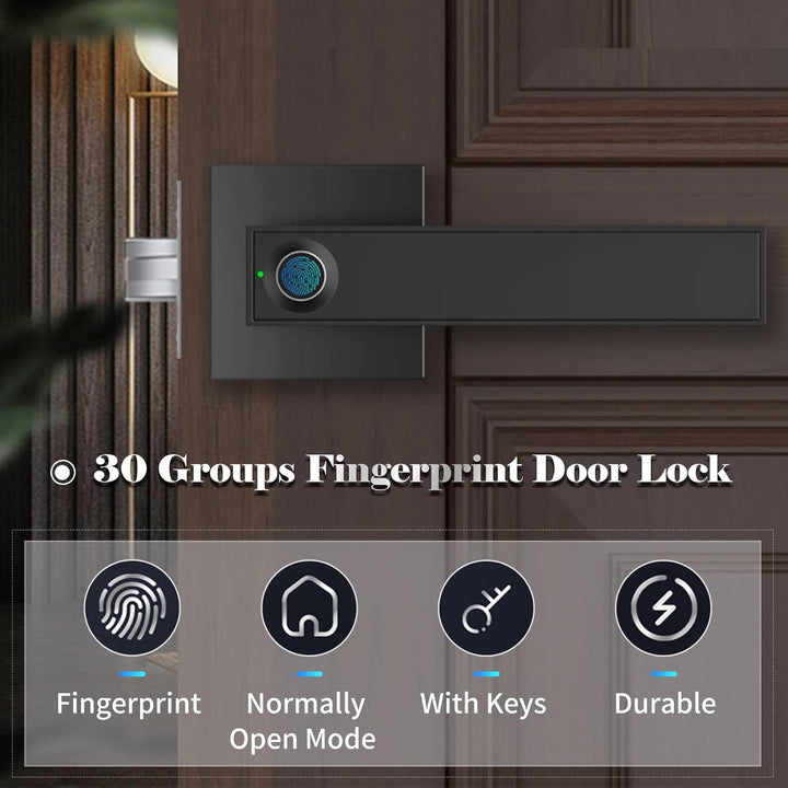 Kalsten | Smart Fingerprint Door Lever Lock with Key Access & 30 User Capacity – Nivora