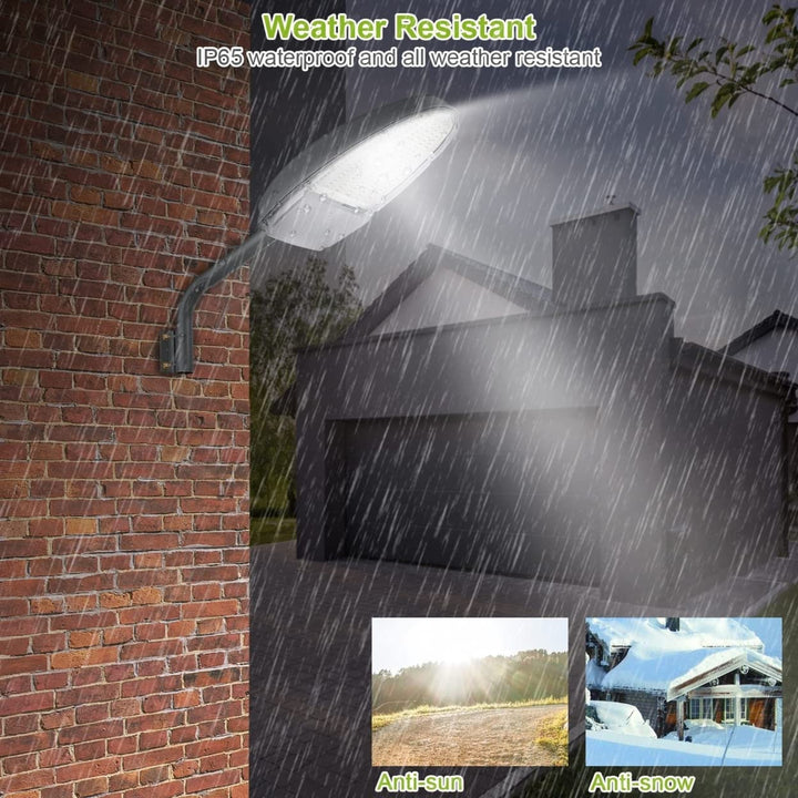 Outdoor LED Wall Light with Sensor
