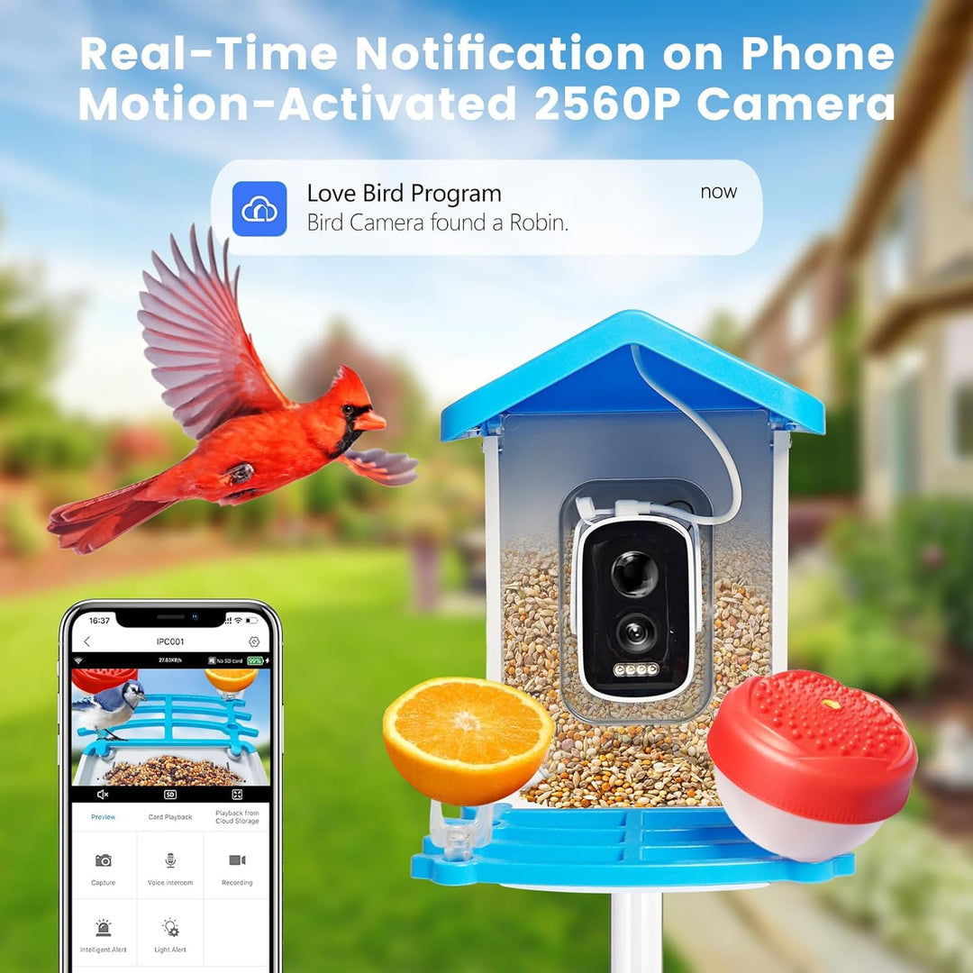 Smart Bird Feeder with Solar Camera – AI Bird Recognition & Night Vision | Kalsten