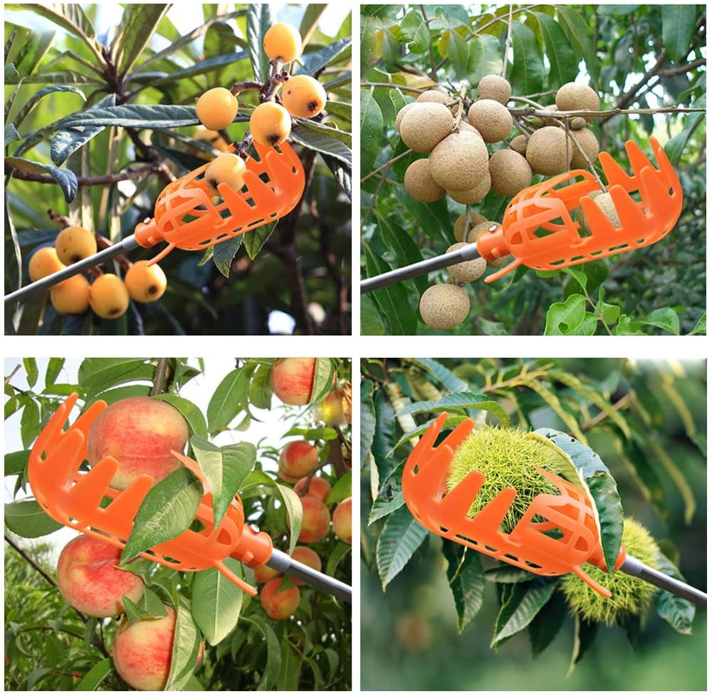 Fruit Picker | Kalsten