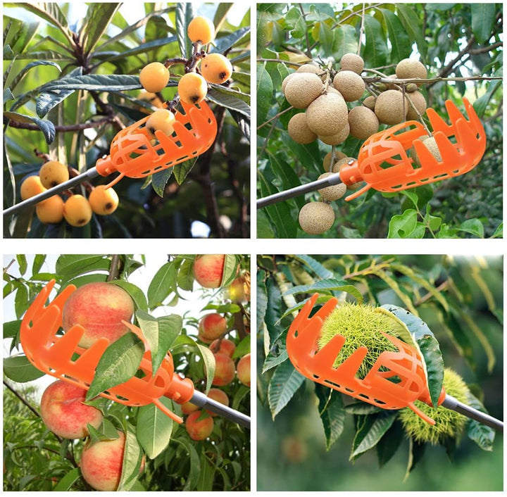 Fruit Picker | Kalsten