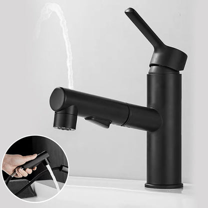 Kitchen Faucet with Swivel Spout, Single Handle Faucet with Pull-Down Sprayer