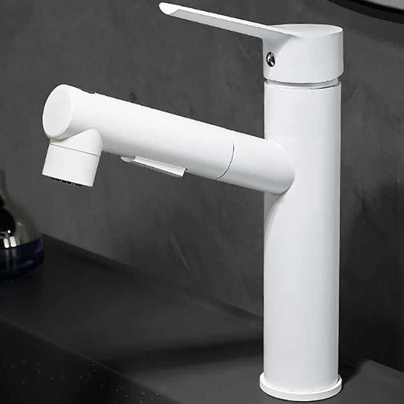Kitchen Faucet with Swivel Spout, Single Handle Faucet with Pull-Down Sprayer